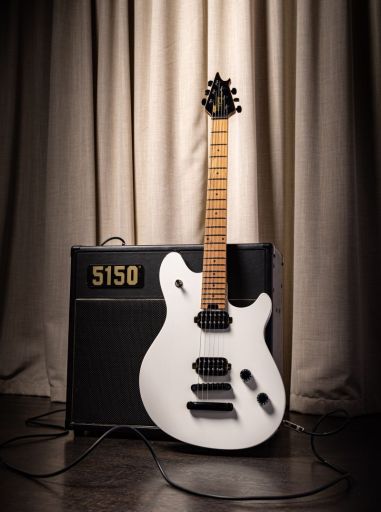 EVH Wolfgang WG Standard T.O.M